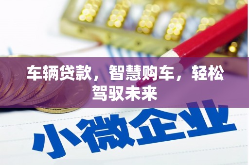 儋州车辆贷款，智慧购车，轻松驾驭未来