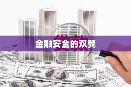 儋州金融安全的双翼
