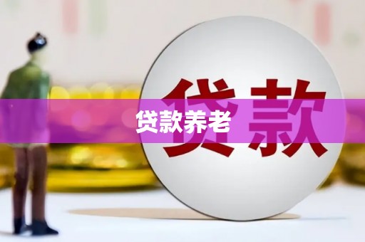 儋州贷款养老