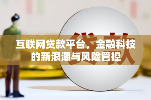 儋州互联网贷款平台，金融科技的新浪潮与风险管控