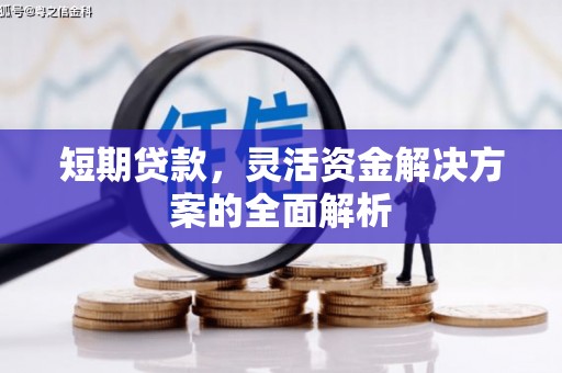 儋州短期贷款，灵活资金解决方案的全面解析
