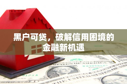 儋州黑户可贷，破解信用困境的金融新机遇