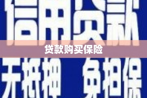 儋州贷款购买保险