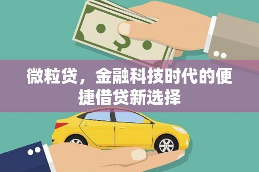 儋州微粒贷，金融科技时代的便捷借贷新选择