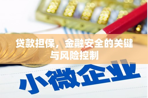 儋州贷款担保，金融安全的关键与风险控制