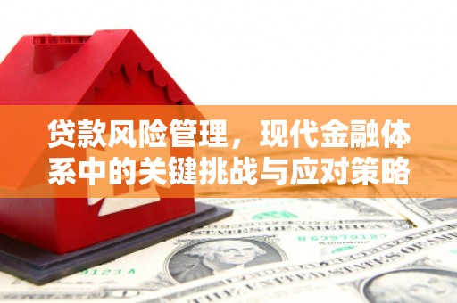 儋州贷款风险管理，现代金融体系中的关键挑战与应对策略
