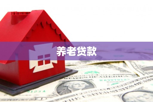 儋州养老贷款