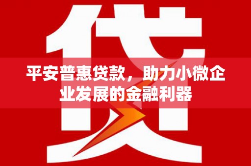 儋州平安普惠贷款，助力小微企业发展的金融利器