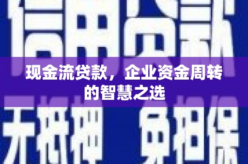 儋州现金流贷款，企业资金周转的智慧之选