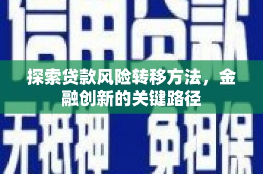 儋州探索贷款风险转移方法，金融创新的关键路径