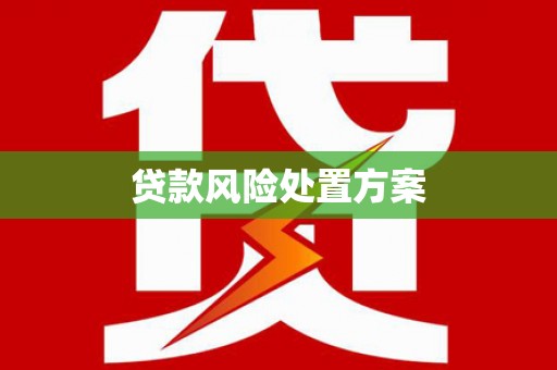 儋州贷款风险处置方案