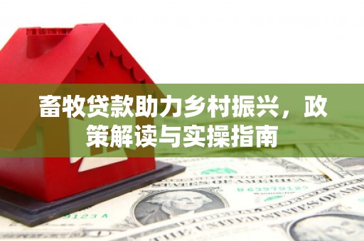 儋州畜牧贷款助力乡村振兴，政策解读与实操指南