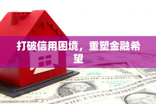儋州打破信用困境，重塑金融希望