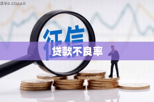 儋州贷款不良率