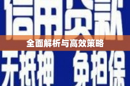 儋州全面解析与高效策略