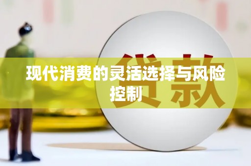 儋州现代消费的灵活选择与风险控制