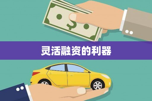 儋州灵活融资的利器