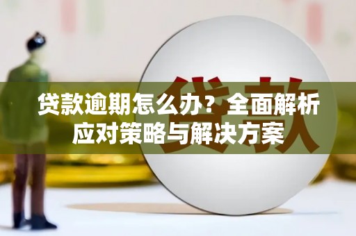 儋州贷款逾期怎么办？全面解析应对策略与解决方案