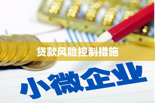 儋州贷款风险控制措施
