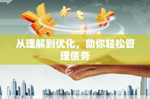 儋州从理解到优化，助你轻松管理债务