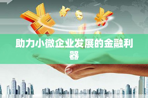 儋州助力小微企业发展的金融利器