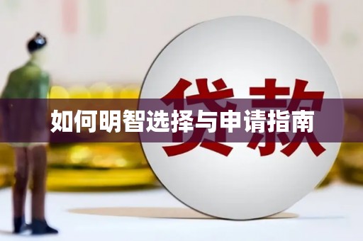 儋州如何明智选择与申请指南