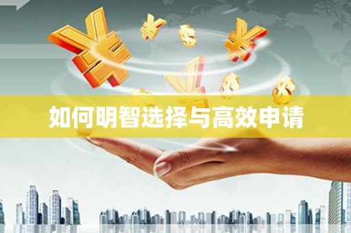 儋州如何明智选择与高效申请