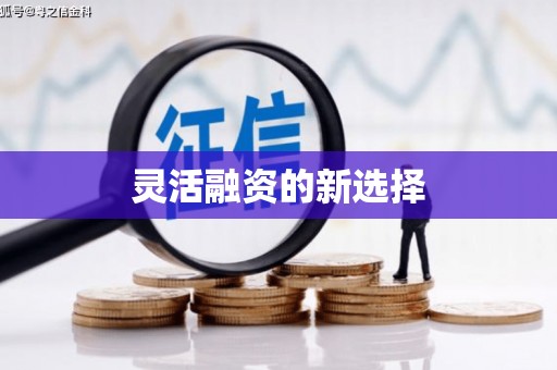 儋州灵活融资的新选择