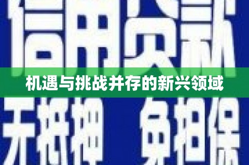 儋州机遇与挑战并存的新兴领域