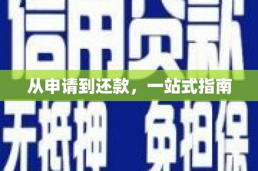 儋州从申请到还款，一站式指南