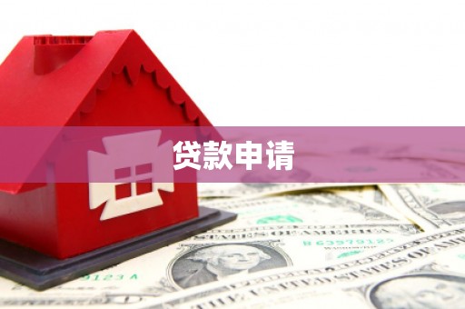 儋州贷款申请