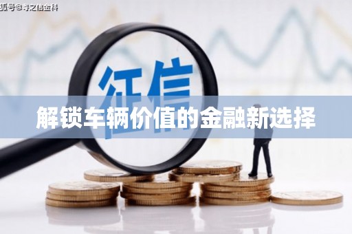 儋州解锁车辆价值的金融新选择