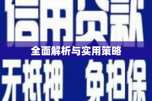 儋州全面解析与实用策略