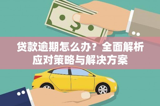儋州贷款逾期怎么办？全面解析应对策略与解决方案