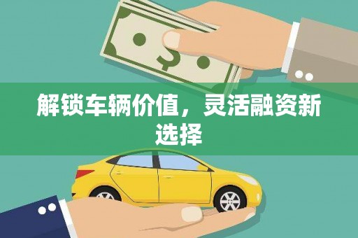 儋州解锁车辆价值，灵活融资新选择