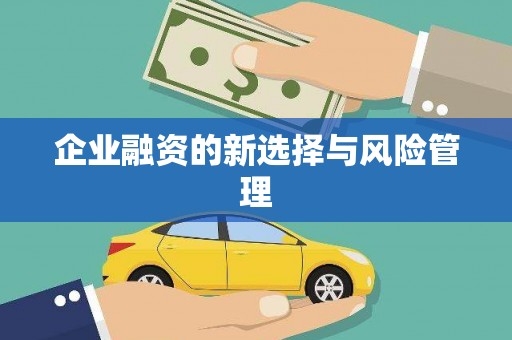 儋州企业融资的新选择与风险管理