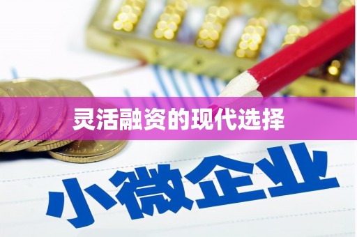 儋州灵活融资的现代选择