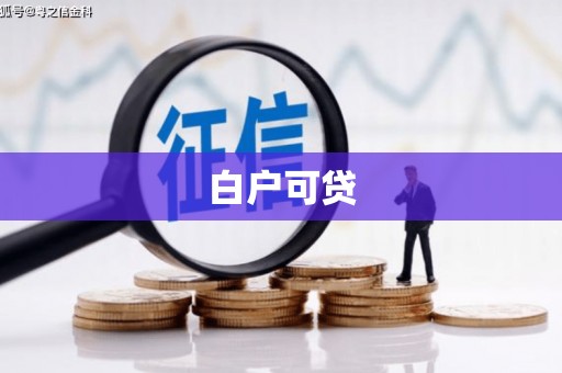 儋州白户可贷
