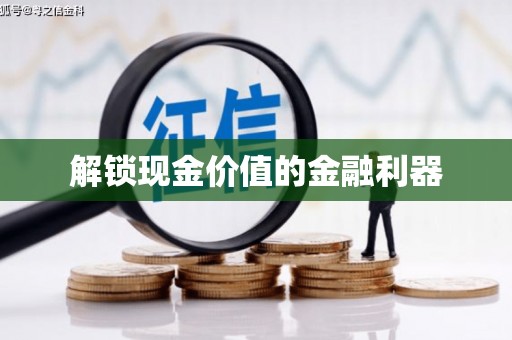 儋州解锁现金价值的金融利器