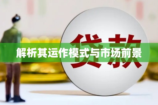 儋州解析其运作模式与市场前景