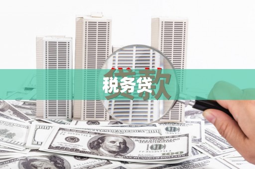 儋州税务贷