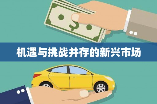 儋州机遇与挑战并存的新兴市场