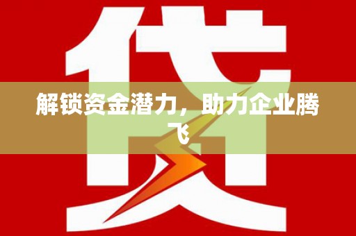 儋州解锁资金潜力，助力企业腾飞