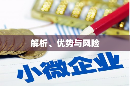 儋州解析、优势与风险
