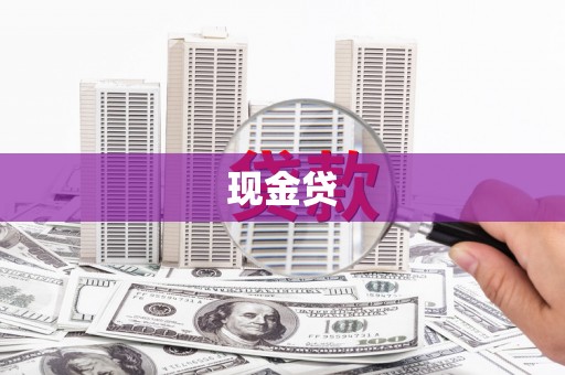 儋州现金贷