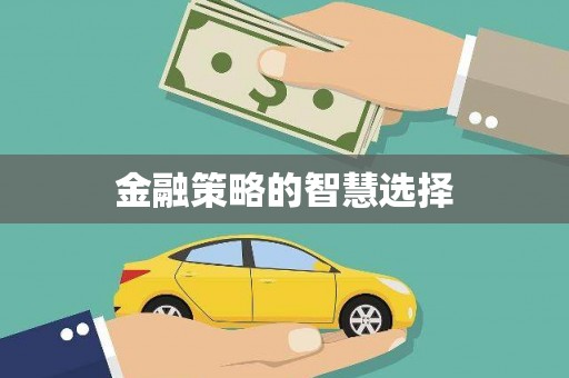 儋州金融策略的智慧选择