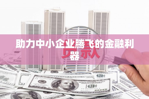儋州助力中小企业腾飞的金融利器