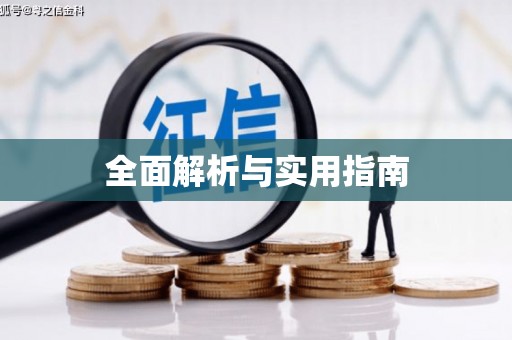 儋州全面解析与实用指南