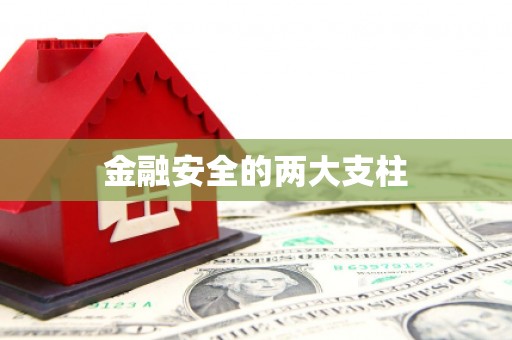 儋州金融安全的两大支柱