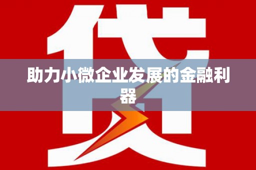 儋州助力小微企业发展的金融利器